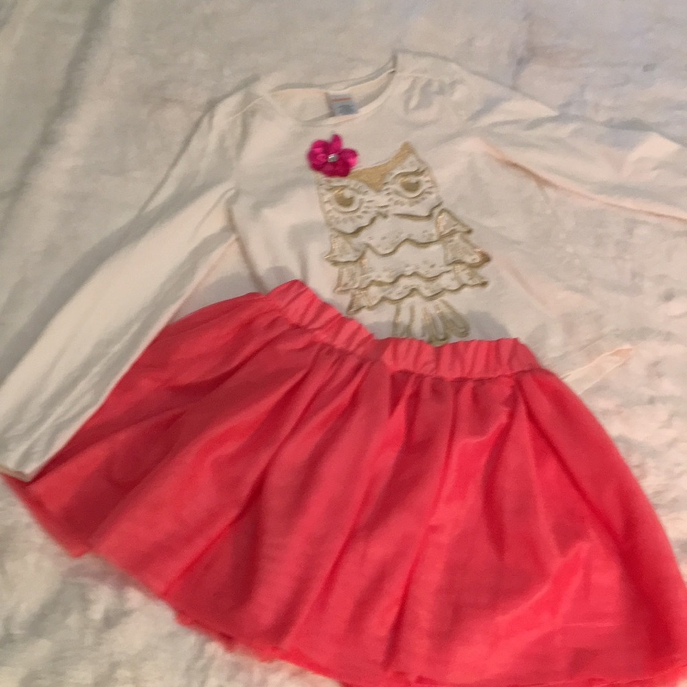 Adorable Matching tulle skirt and top